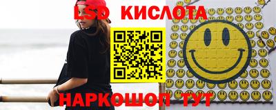 стаф Свободный