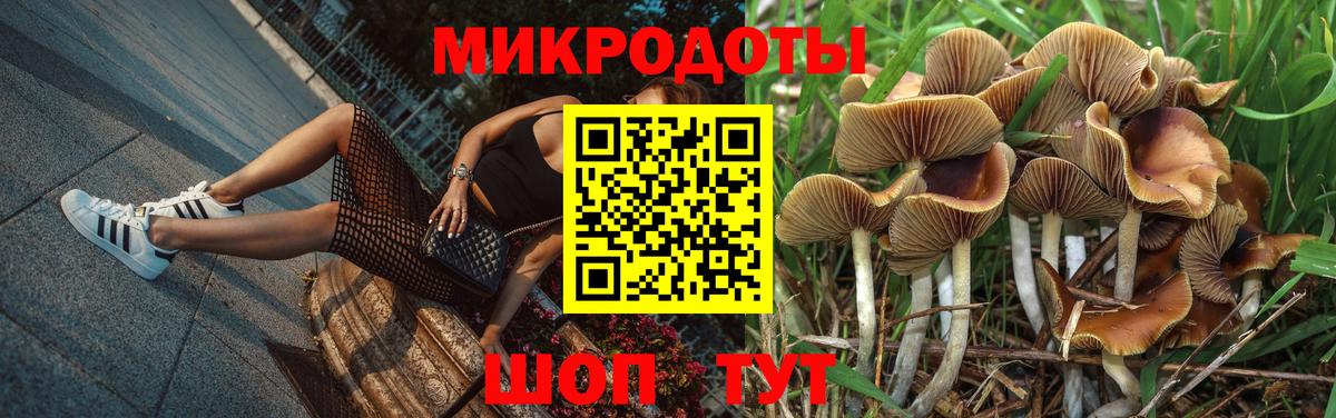 где найти   Вход с VPN  Псилоцибиновые грибы прущие грибы  Сафоново  Псилоцибиновые грибы Psilocybine cubensis 